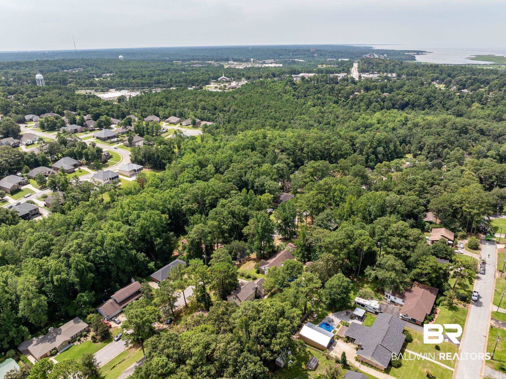 40 Caisson Trace Daphne, AL 36527 - Photo 50 of 54 Birds eye view of property