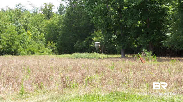 0 West Railroad Street Castleberry, AL 36432 - Photo 7 of 41