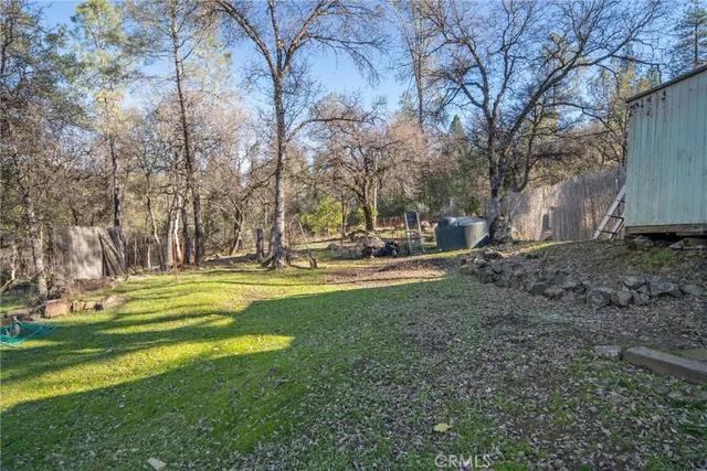 a view of a park with large trees
