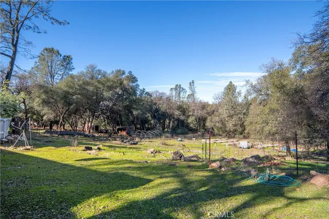 a view of a swimming pool and trees in the background