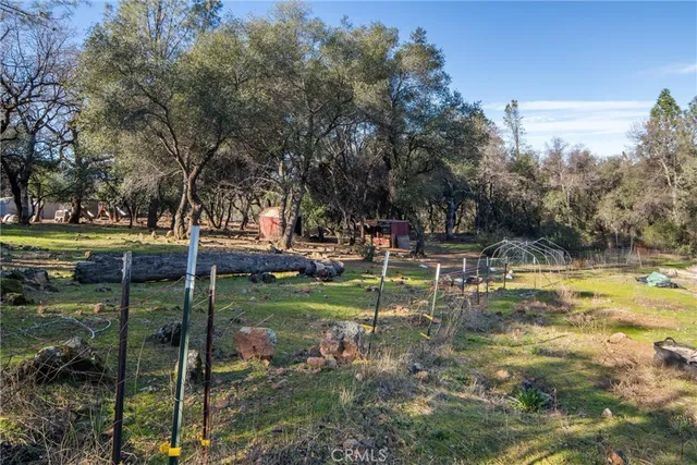 a view of a park with large trees