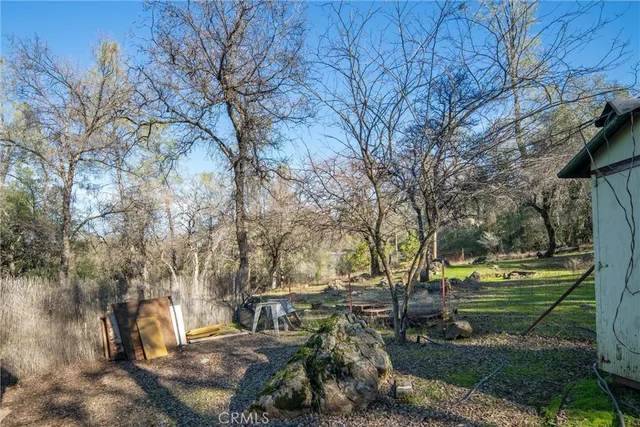 a view of backyard with table and chairs and a large tree