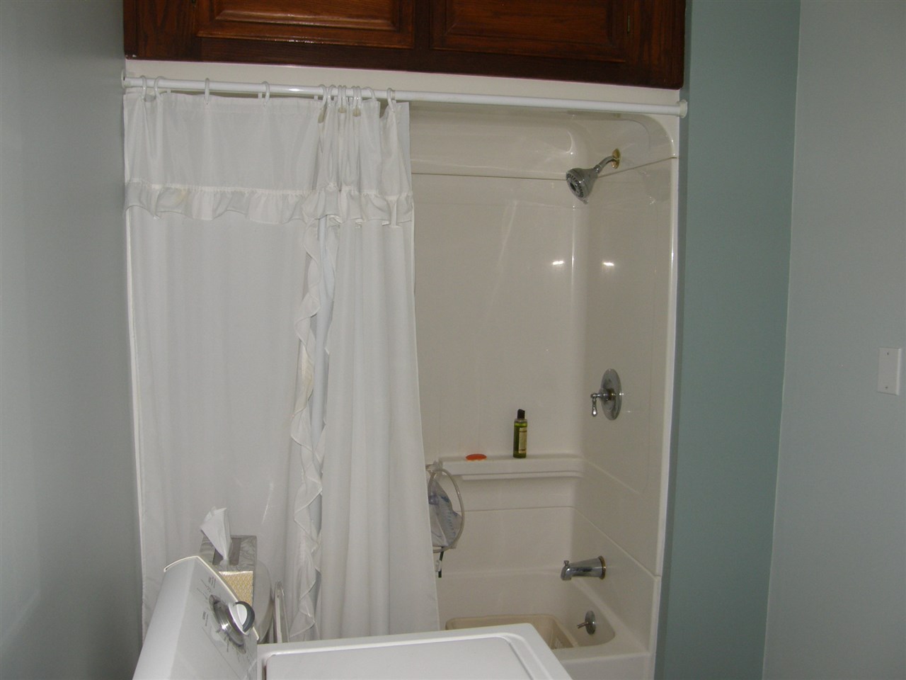 2343 West Jason Road Dewitt, MI 48820 - Photo 10 of 23 1863513-9.JPG