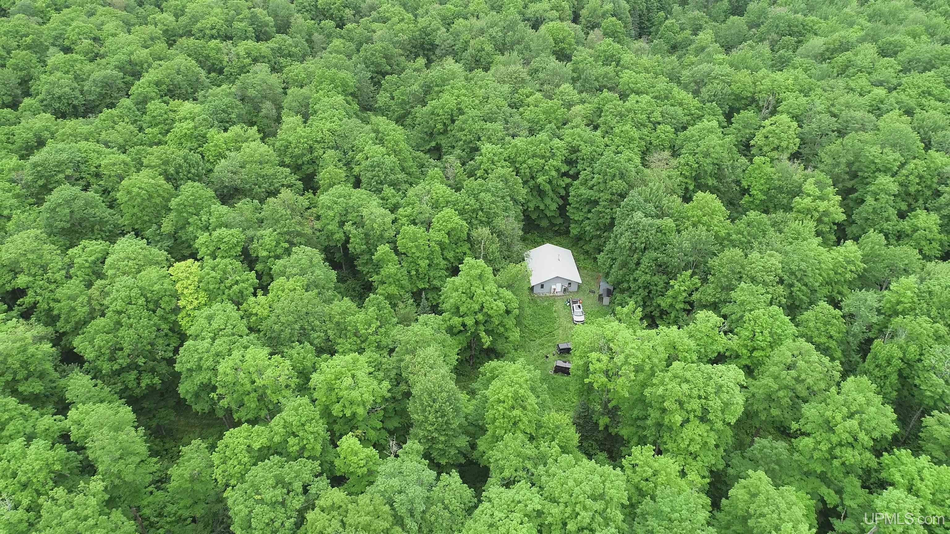 40-acres The Grade Road Crystal Falls, MI 49920 - Photo 2 of 39