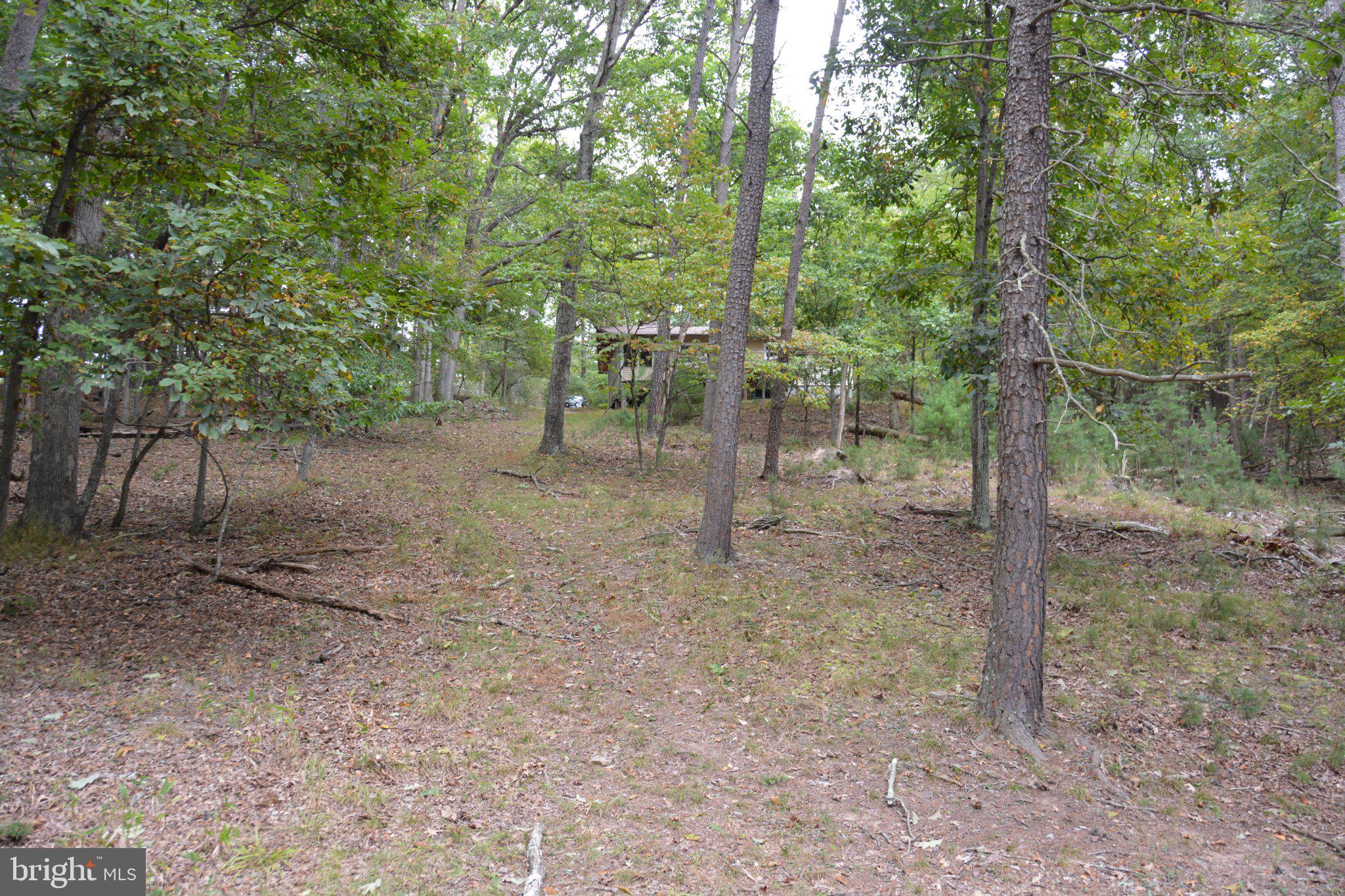 3016 Siler Road Winchester, VA 22603 - Photo 46 of 83 Gallery Image 46