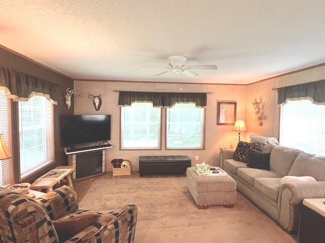 1201 Birch Road Harrison, MI 48625 - Photo 3 of 25