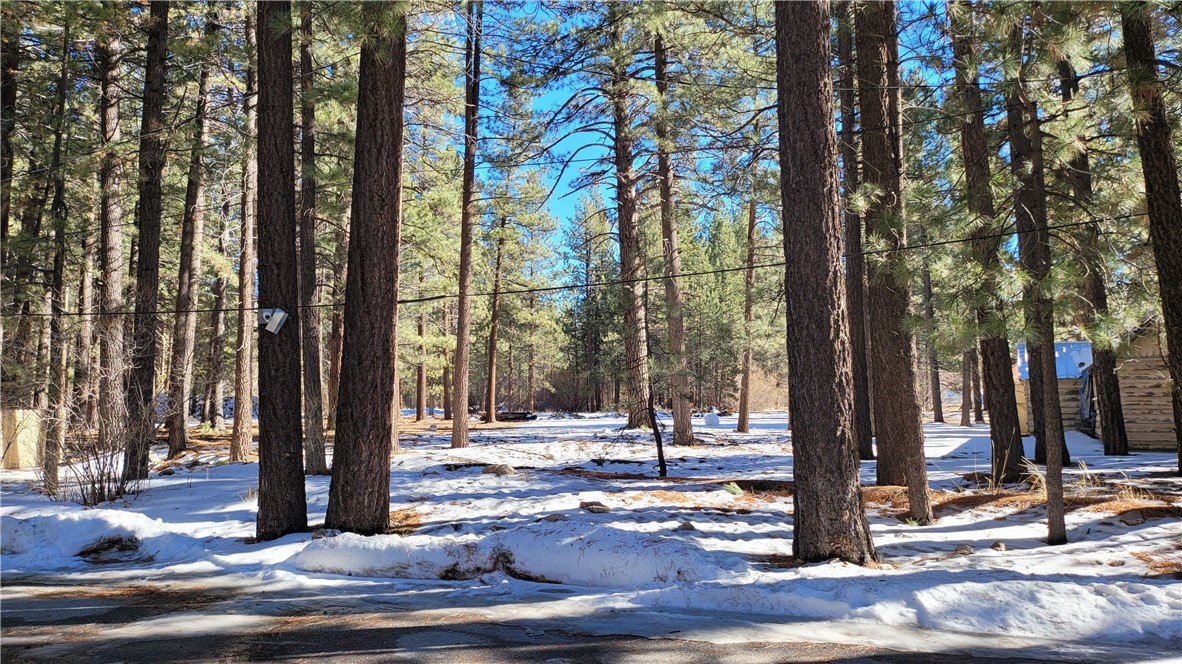 42268 Moonridge Road Big Bear Lake, CA 92315 - Photo 5 of 54 a view of a park with trees