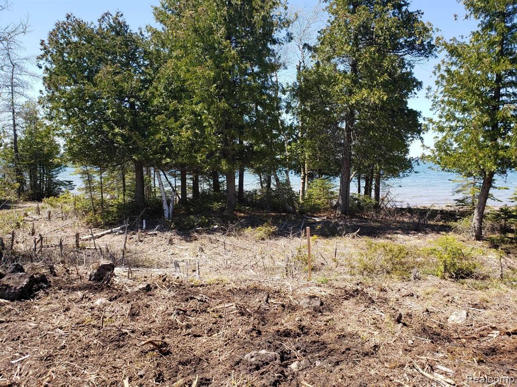 33882 South Dix Point Road Drummond Island, MI 49726 - Photo 10 of 19
