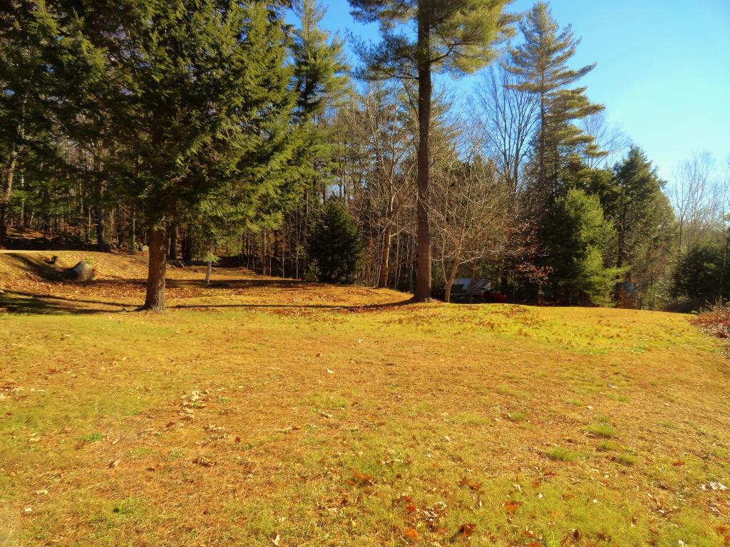 459 Murray Hill Road Hill, NH 03243 - Photo 3 of 28
