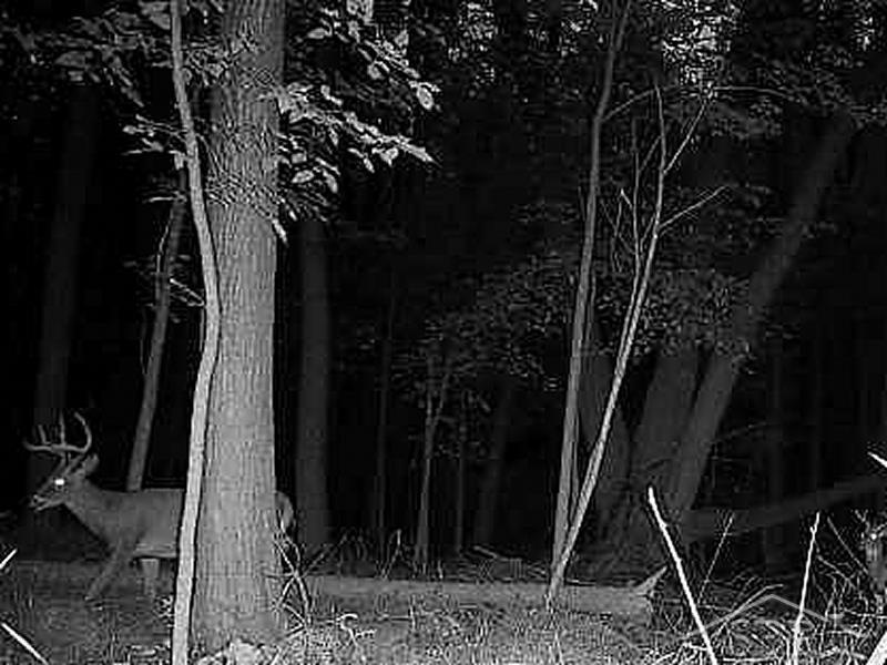 245 West River Road Kawkawlin, MI 48631 - Photo 6 of 8