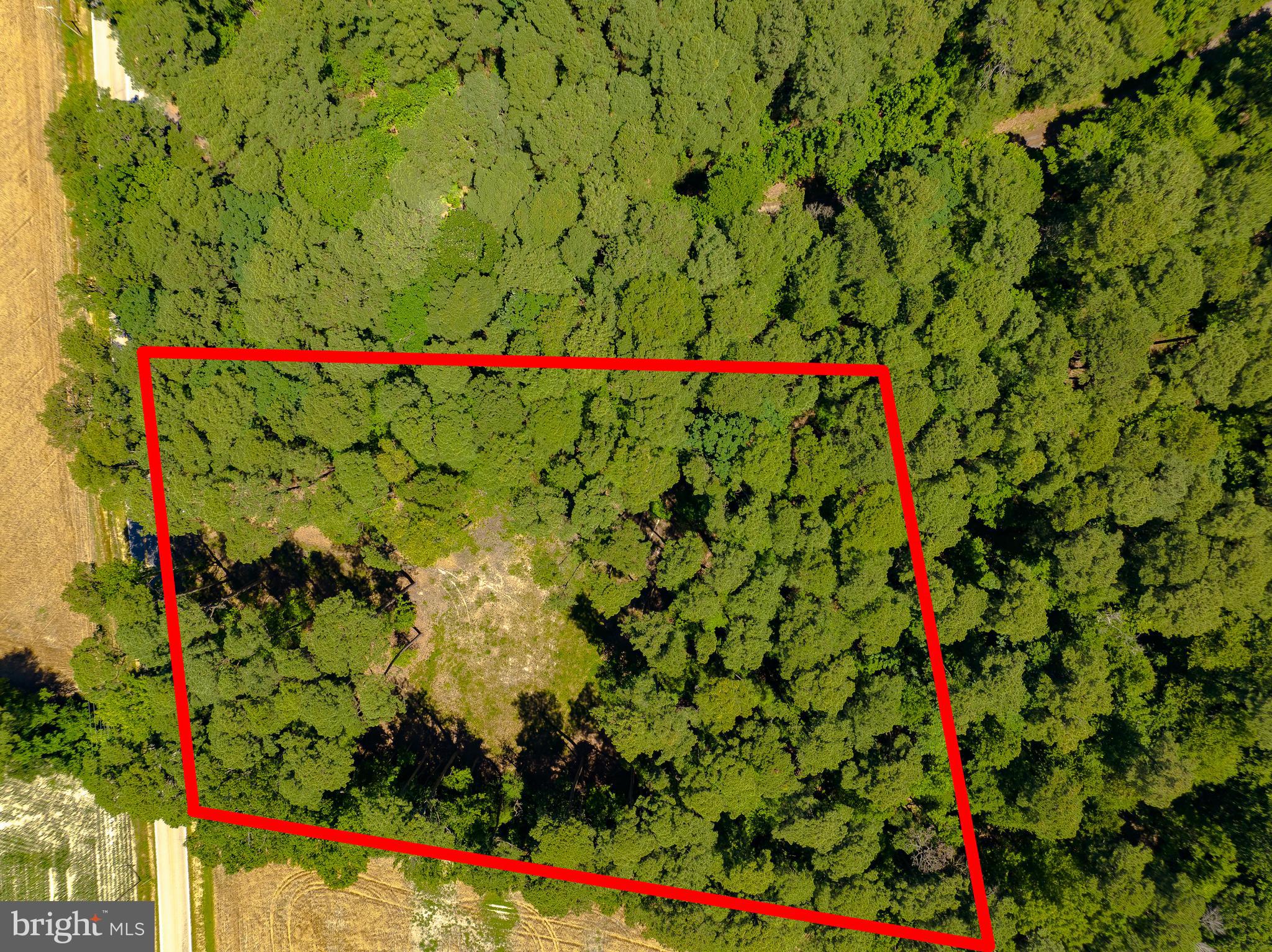 17328 St Jeromes Neck Road Dameron, MD 20628 - Photo 14 of 19
