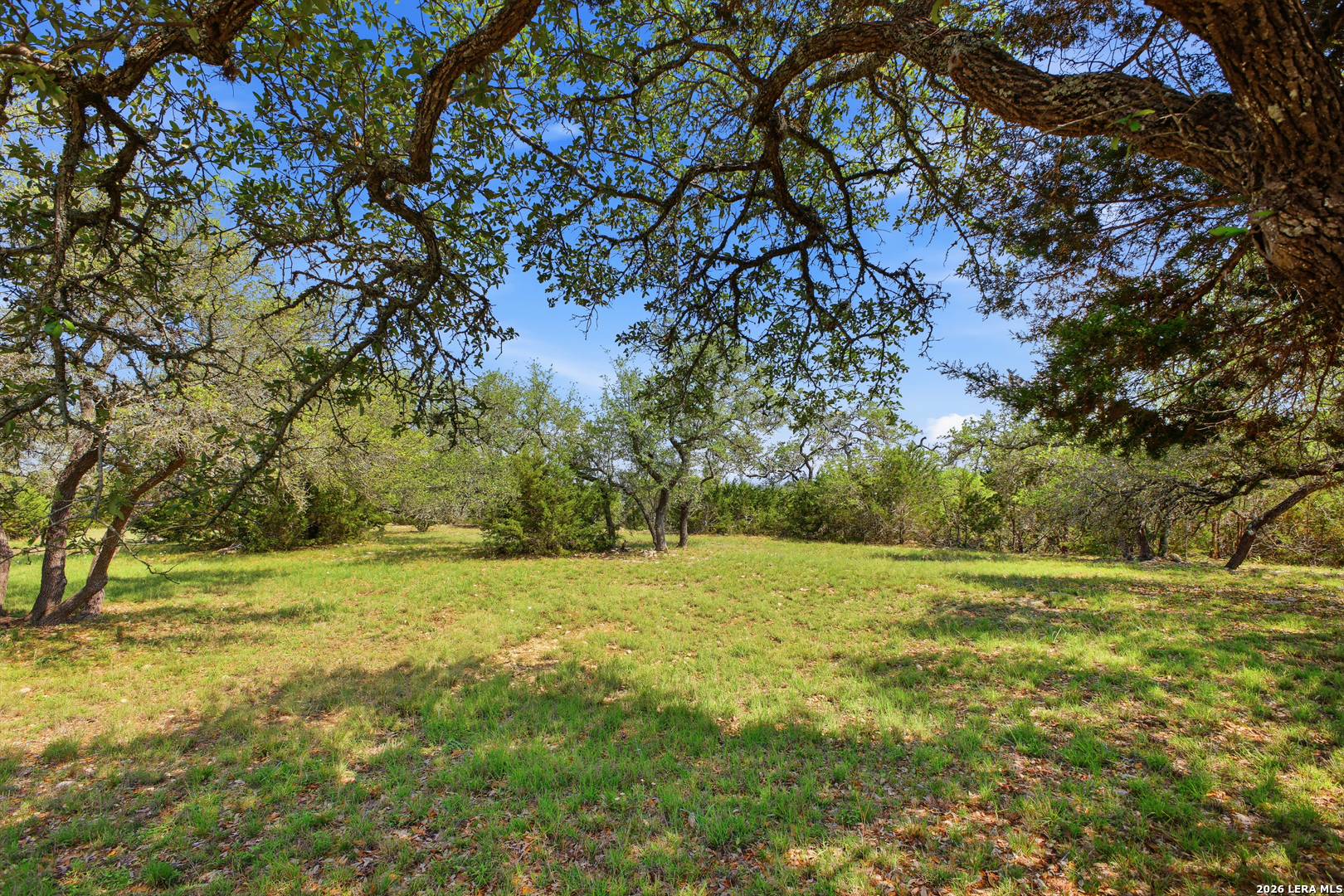148 North Stallion Estates Spring Branch, TX 78070 - Photo 49 of 73
