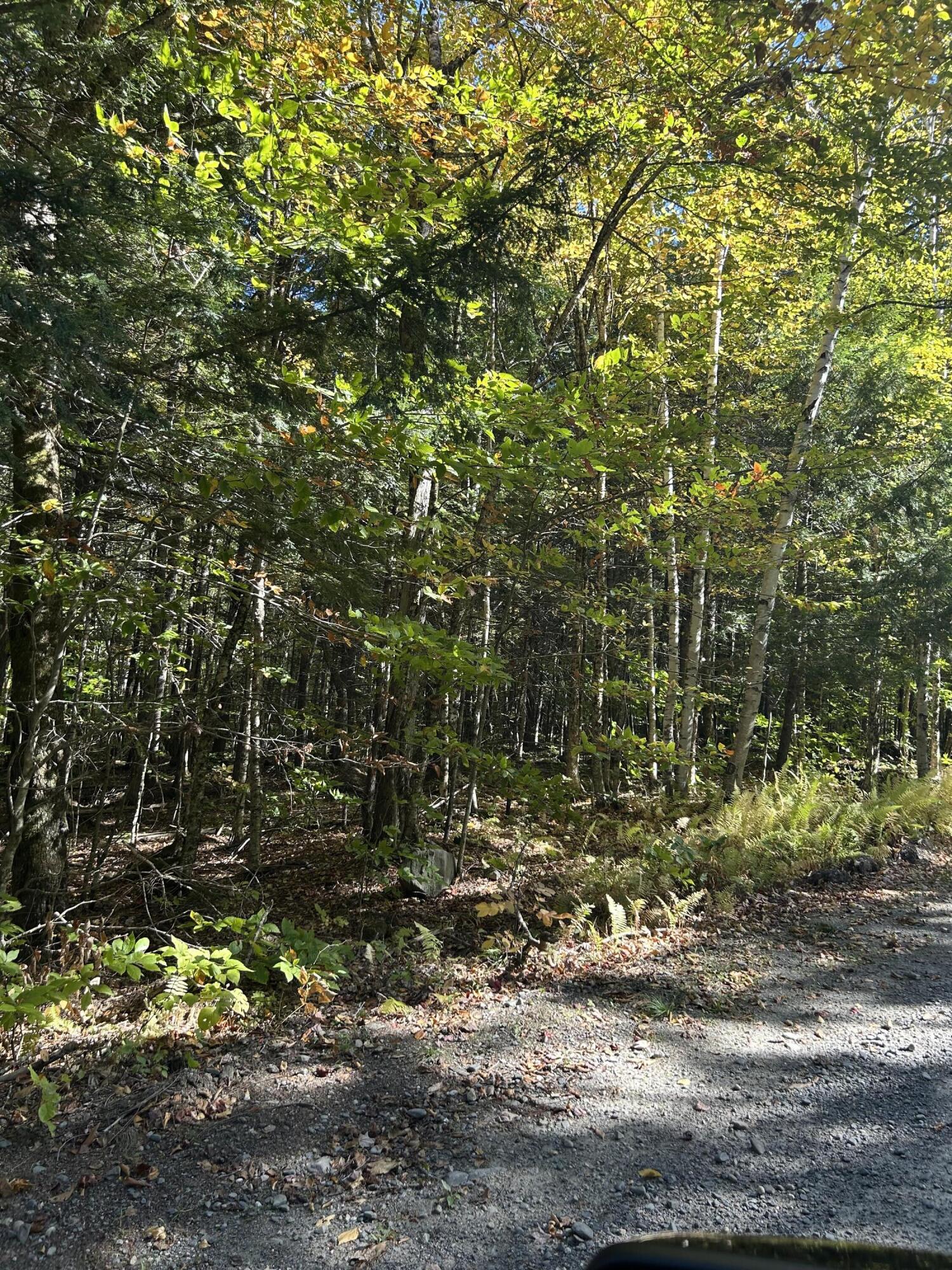 M6-l16-12-3 Beaver Brook Road Dover-Foxcroft, ME 04426 - Photo 5 of 11 IMG_1233