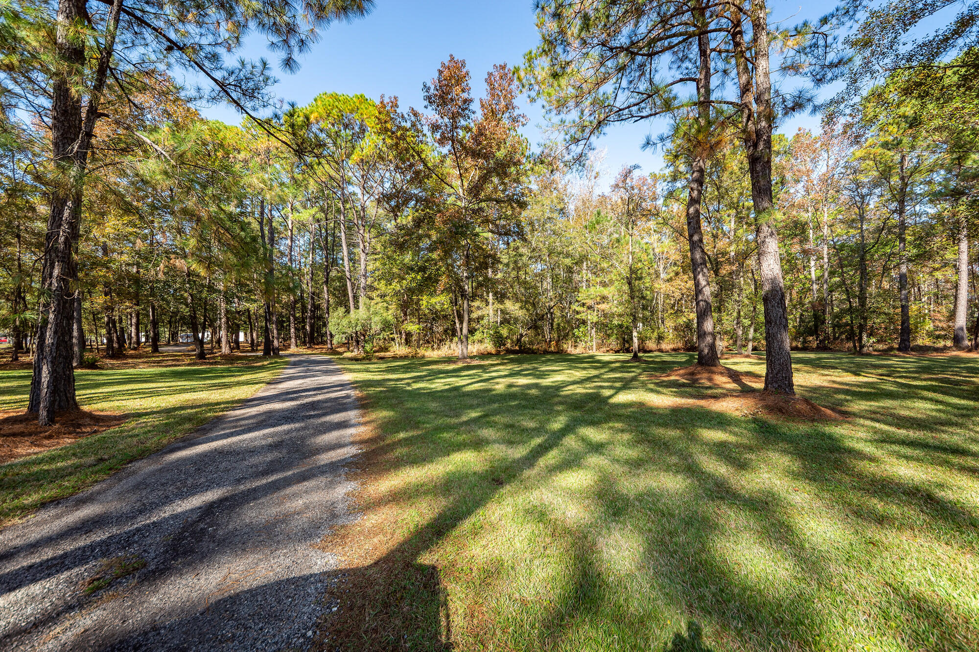 5950 Lowell Reed Road Ravenel, SC 29470 - Photo 107 of 120 106