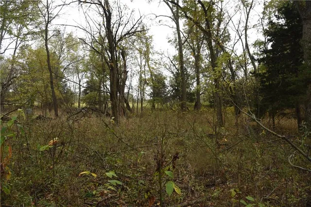 $125,000 | 1000 Road Mound City Ks 66056, Mound City, KS 66056