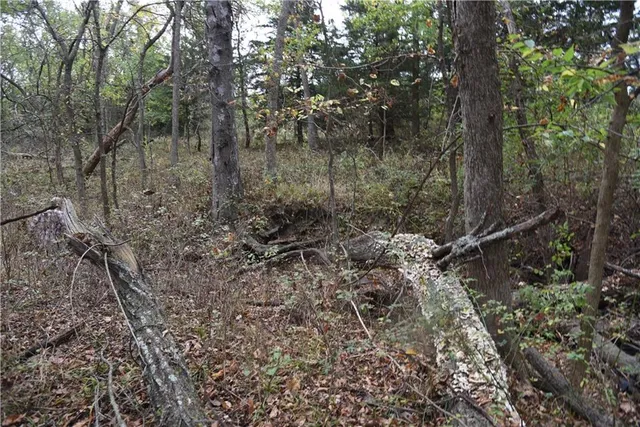 $125,000 | 1000 Road Mound City Ks 66056, Mound City, KS 66056