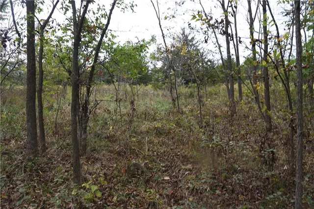 $125,000 | 1000 Road Mound City Ks 66056, Mound City, KS 66056