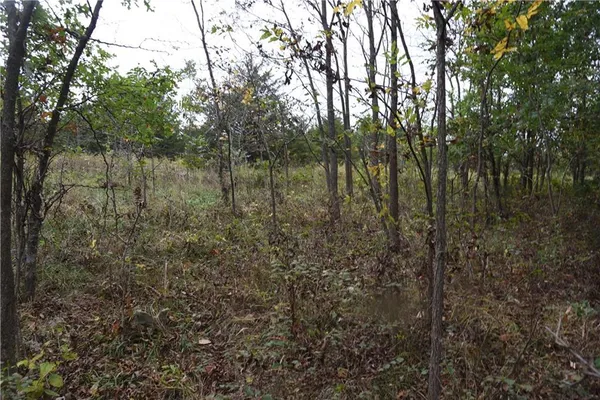 $125,000 | 1000 Road Mound City Ks 66056, Mound City, KS 66056