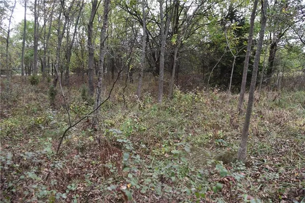 $125,000 | 1000 Road Mound City Ks 66056, Mound City, KS 66056
