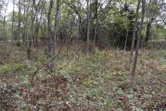 $125,000 | 1000 Road Mound City Ks 66056, Mound City, KS 66056