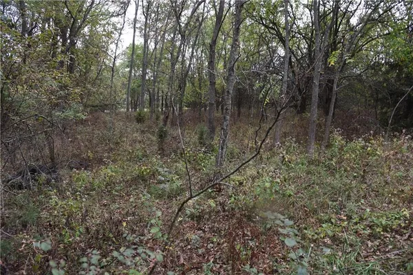 $125,000 | 1000 Road Mound City Ks 66056, Mound City, KS 66056