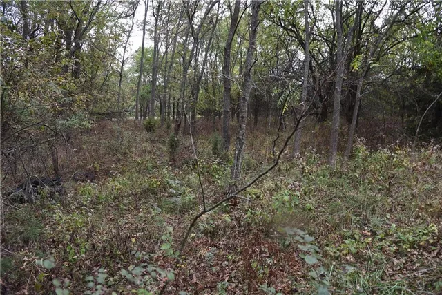 $125,000 | 1000 Road Mound City Ks 66056, Mound City, KS 66056