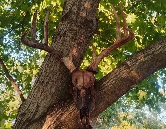 $125,000 | 1000 Road Mound City Ks 66056, Mound City, KS 66056