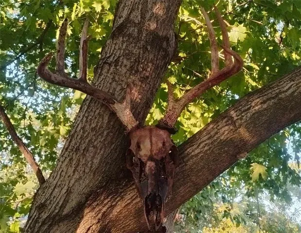 $125,000 | 1000 Road Mound City Ks 66056, Mound City, KS 66056