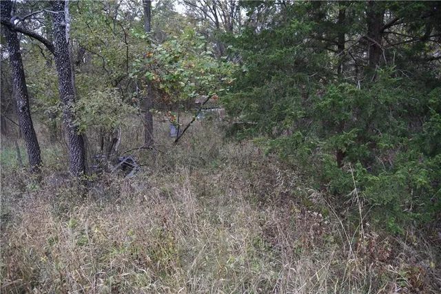 $125,000 | 1000 Road Mound City Ks 66056, Mound City, KS 66056