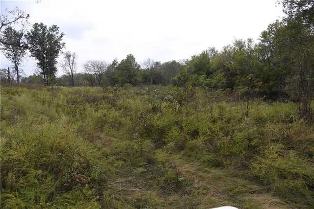 $125,000 | 1000 Road Mound City Ks 66056, Mound City, KS 66056