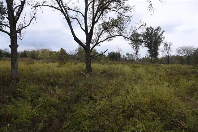 $125,000 | 1000 Road Mound City Ks 66056, Mound City, KS 66056