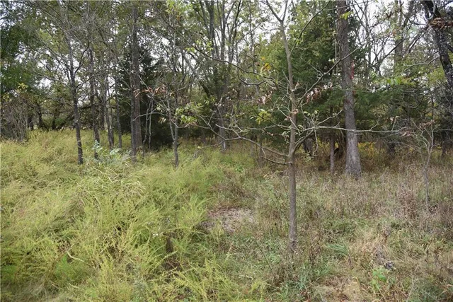 $125,000 | 1000 Road Mound City Ks 66056, Mound City, KS 66056