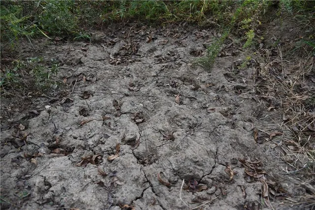 $125,000 | 1000 Road Mound City Ks 66056, Mound City, KS 66056