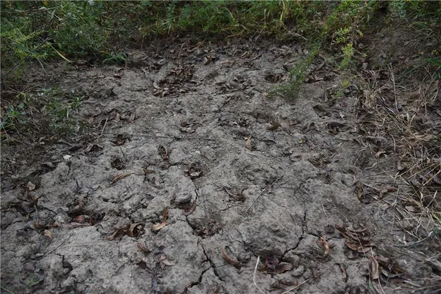 $125,000 | 1000 Road Mound City Ks 66056, Mound City, KS 66056