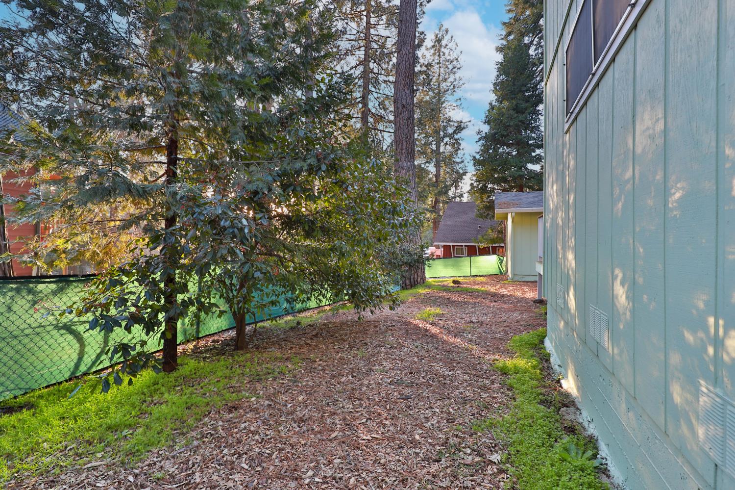 3060 Leaf Circle Pollock Pines, CA 95726 - Photo 35 of 38 a view of a yard with plants and a trees