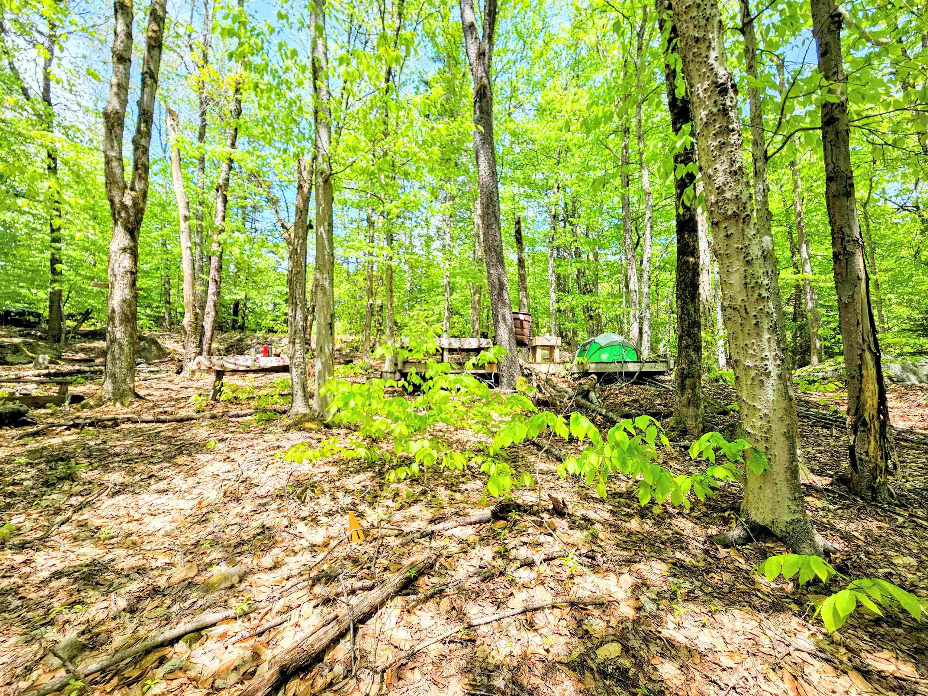 Lot 10 Minor Road Wilmington, VT 05363 - Photo 13 of 26