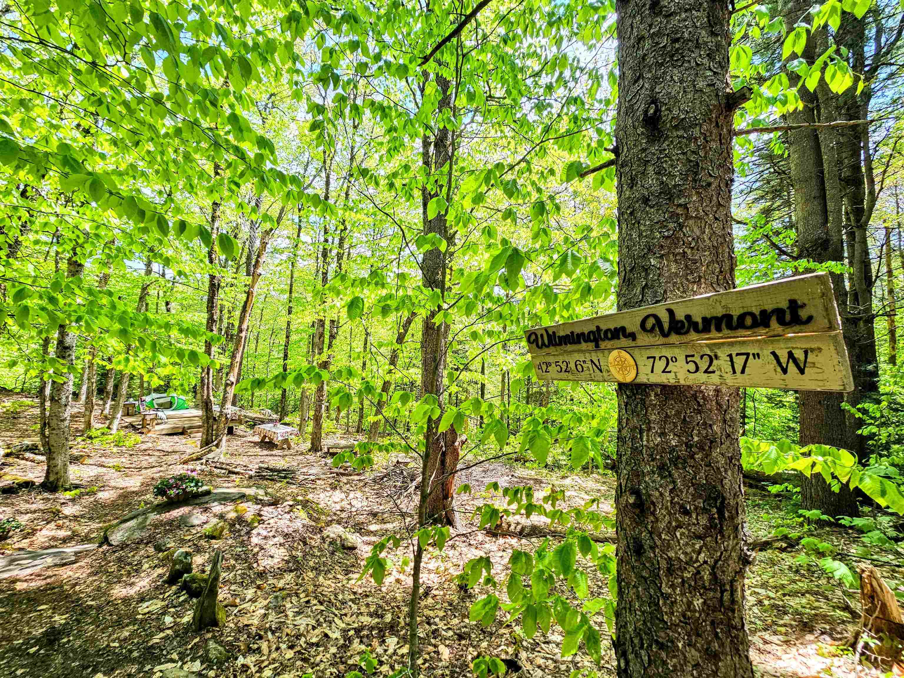 Lot 10 Minor Road Wilmington, VT 05363 - Photo 26 of 26