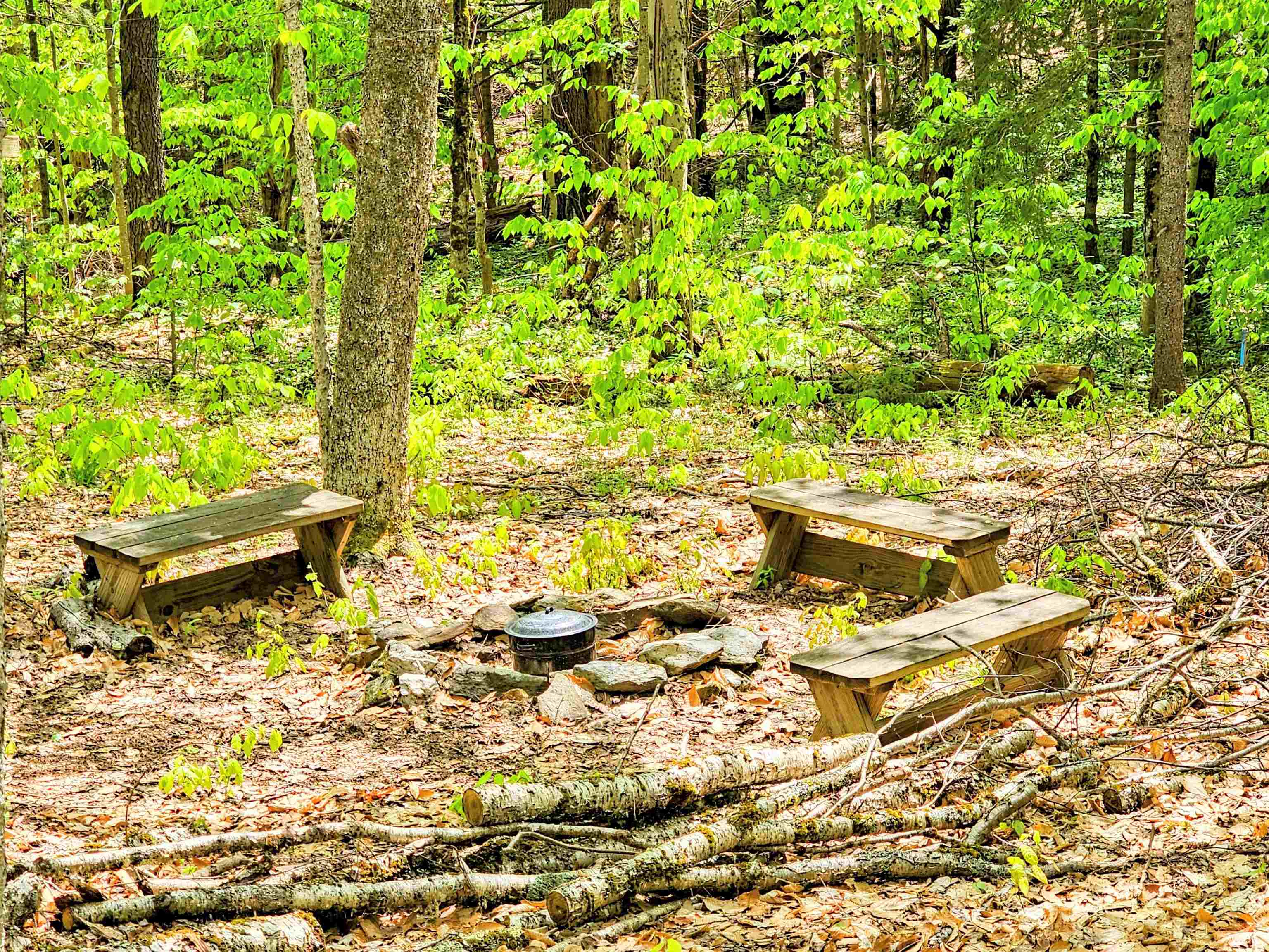Lot 10 Minor Road Wilmington, VT 05363 - Photo 3 of 26