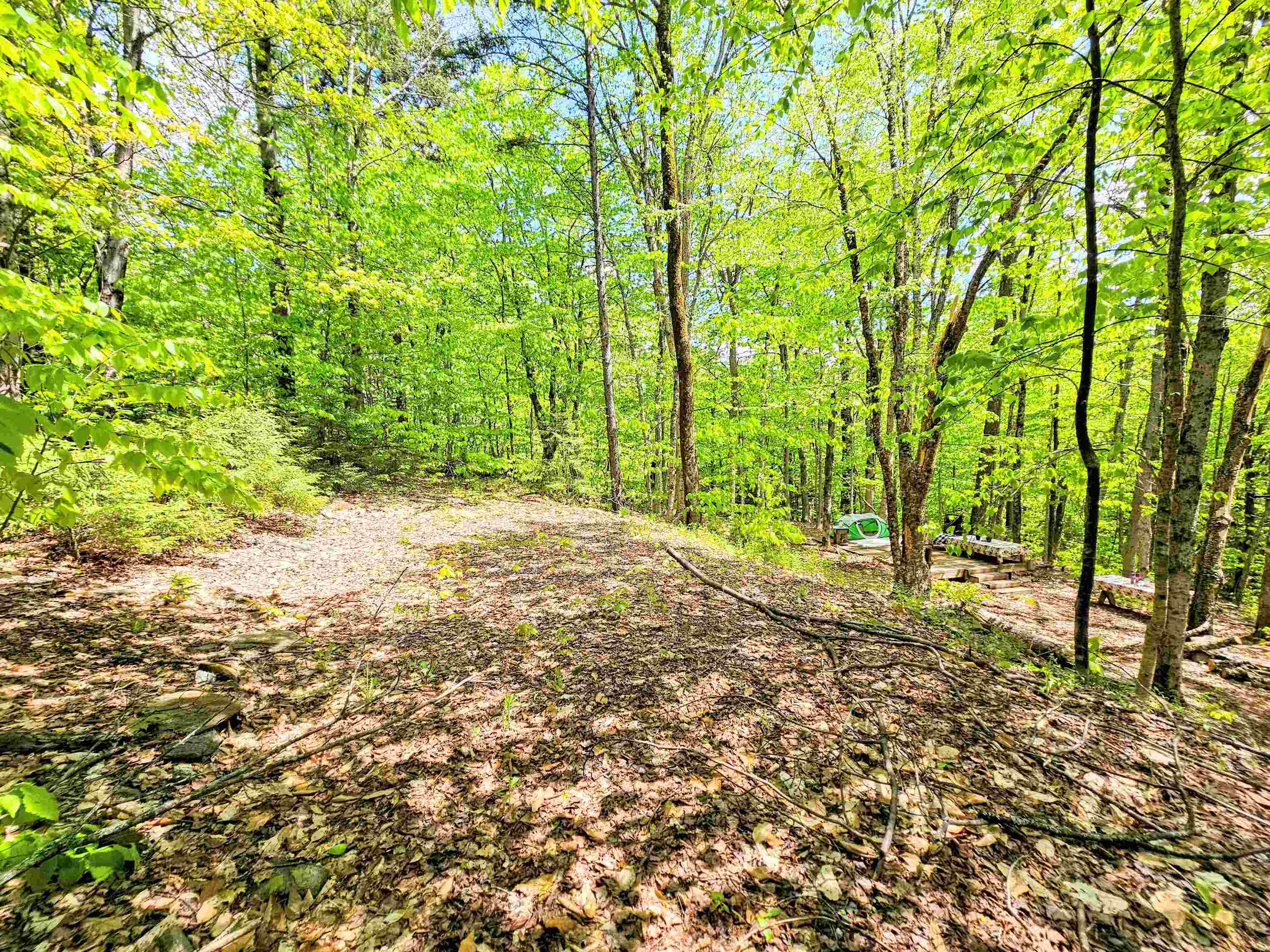 Lot 10 Minor Road Wilmington, VT 05363 - Photo 6 of 26