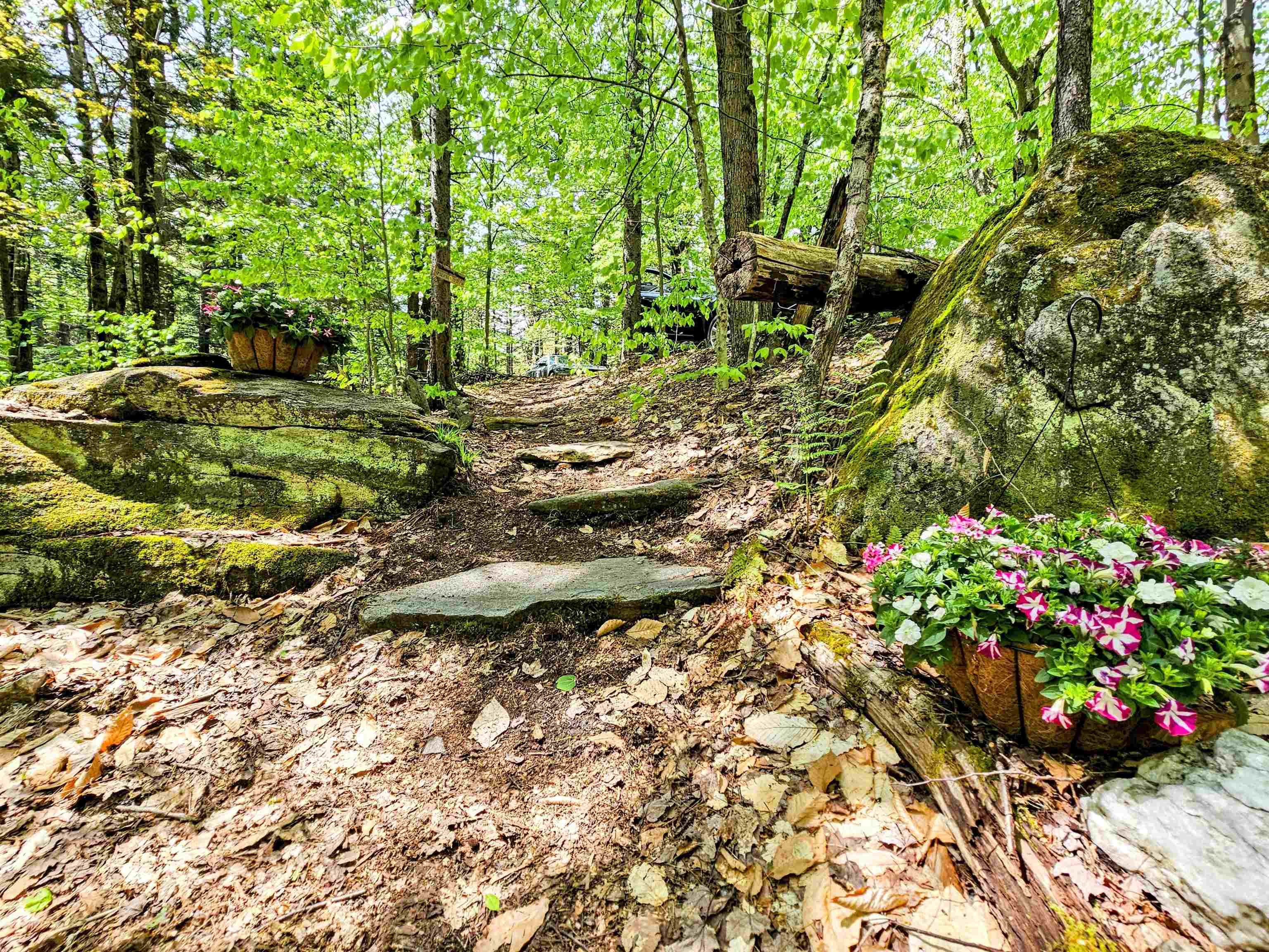 Lot 10 Minor Road Wilmington, VT 05363 - Photo 8 of 26