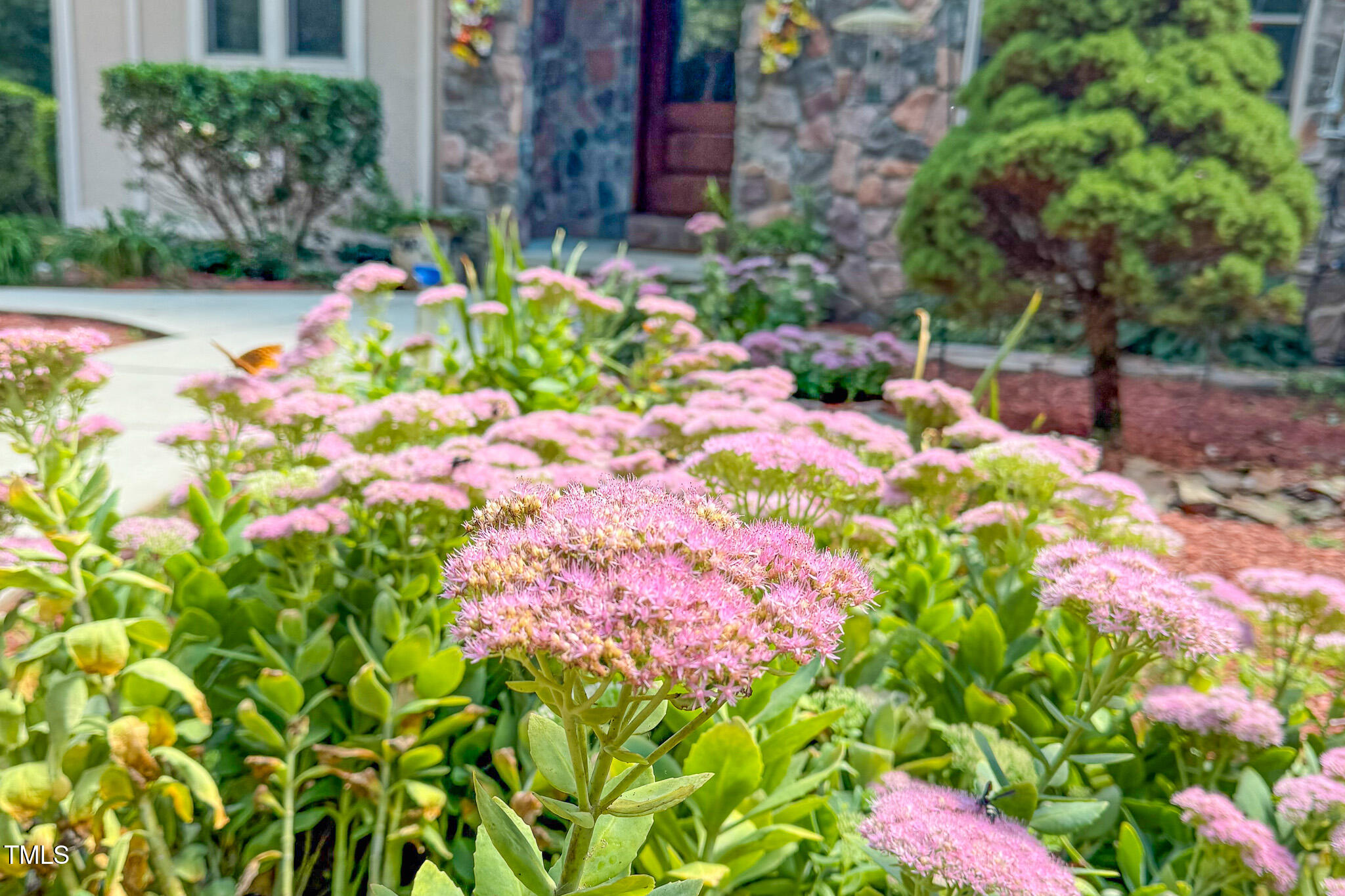 576 Duncan Road Timberlake, NC 27583 - Photo 86 of 91 a street view with flowers and tree