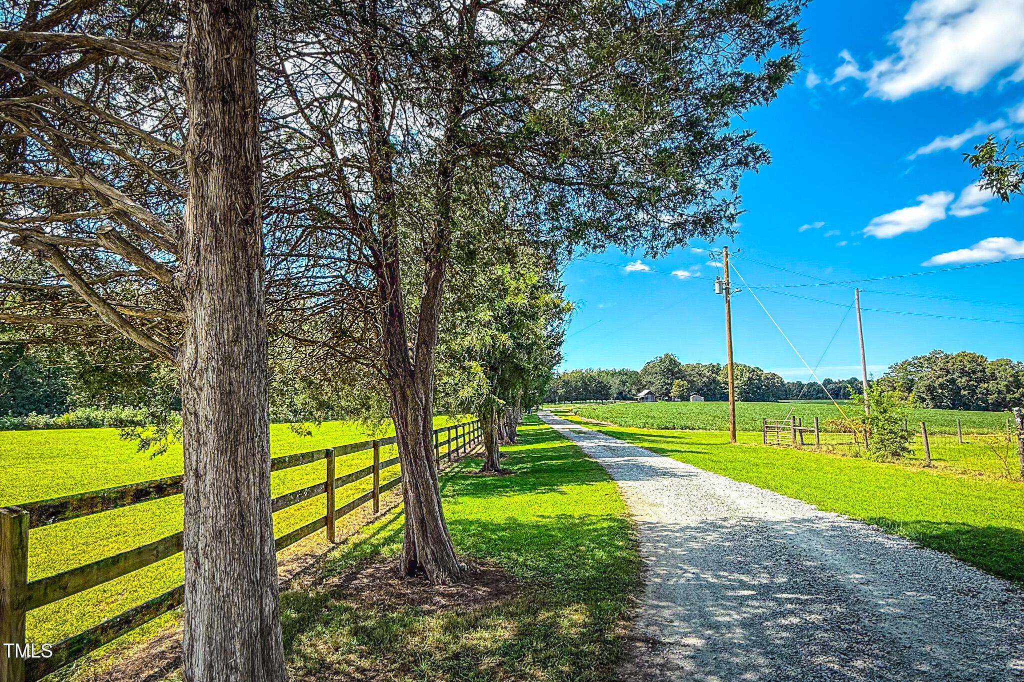 576 Duncan Road Timberlake, NC 27583 - Photo 90 of 91 a view of a park with large trees
