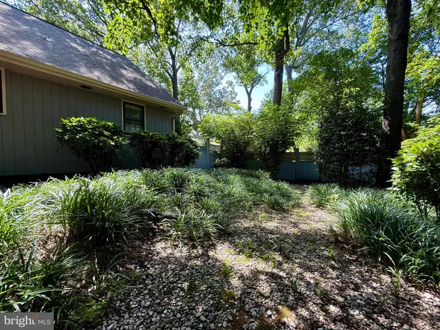 a view of a garden with plants and large trees