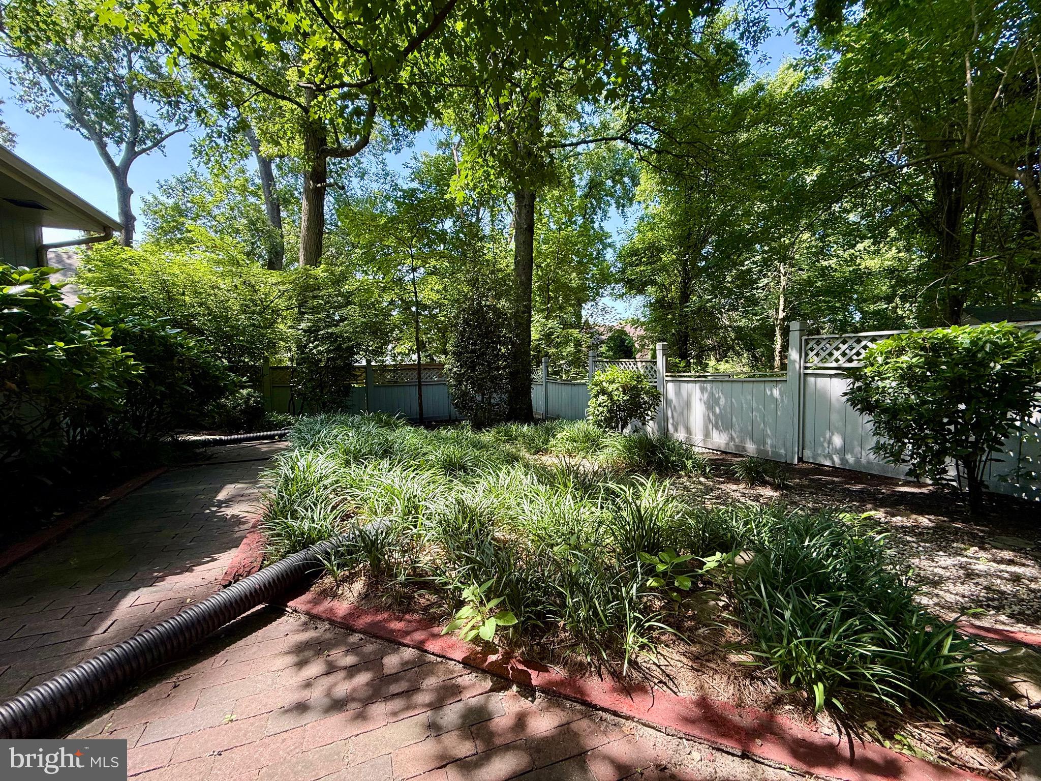 110 Partree Road Cherry Hill, NJ 08003 - Photo 30 of 33 a view of a garden with plants and large trees