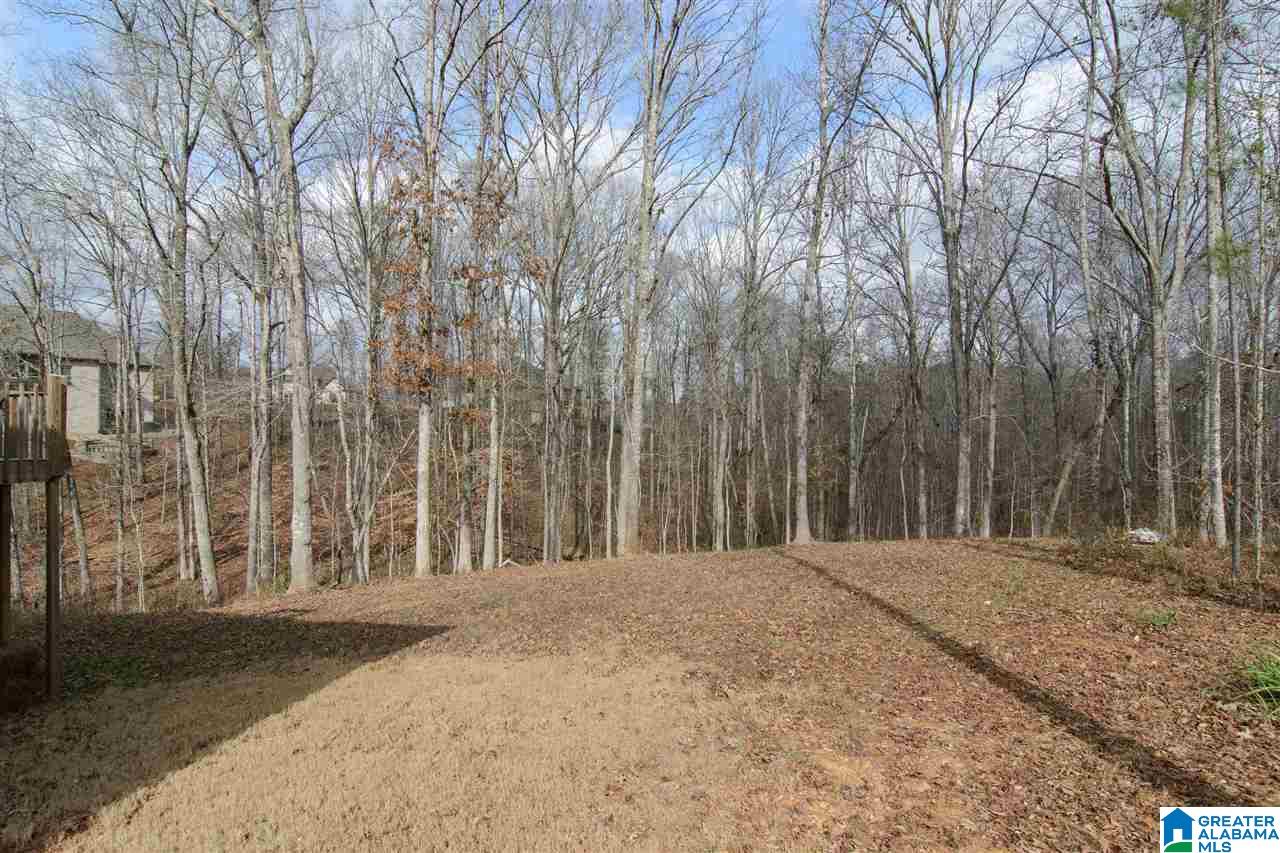 112 Highland Ridge Drive Chelsea, AL 35043 - Photo 39 of 42