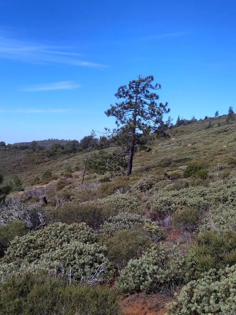 0 Coulter Ridge Road Julian, CA 92036 - Photo 3 of 5