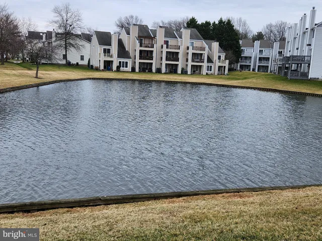 a view of a swimming pool with a lawn
