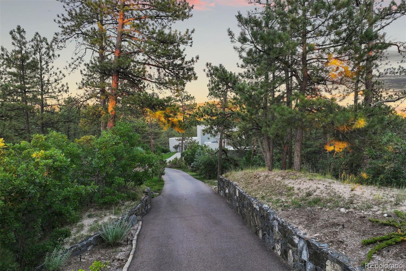 7 Elk Pointe Lane Castle Rock, CO 80108 - Photo 43 of 43 a view of a street with trees and bushes