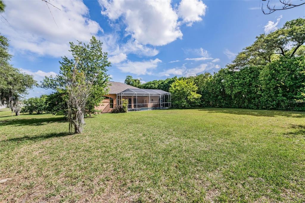 13566 Rudi Loop Spring Hill, FL 34609 - Photo 47 of 57