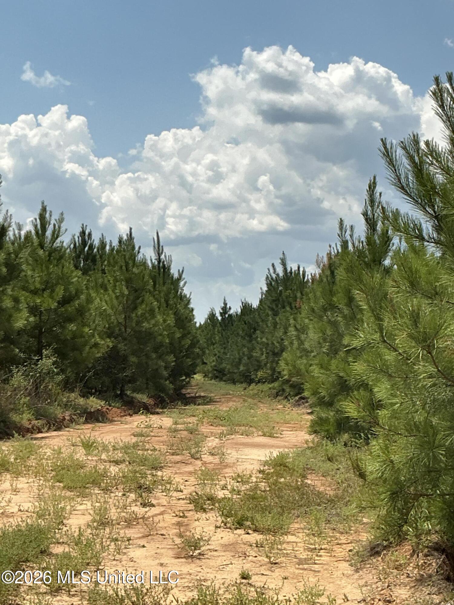 Smithtown Road Tylertown, MS 39667 - Photo 10 of 18 IMG_0014